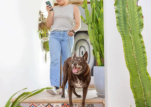 15 simple ways to add incidental exercise to your day