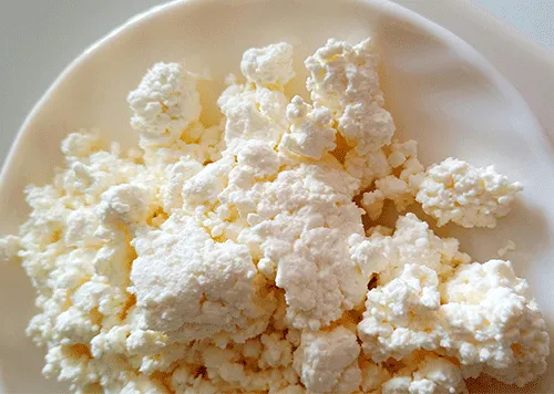 How much protein is in cottage cheese?