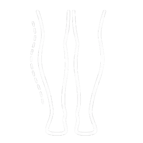 Calves Shaping