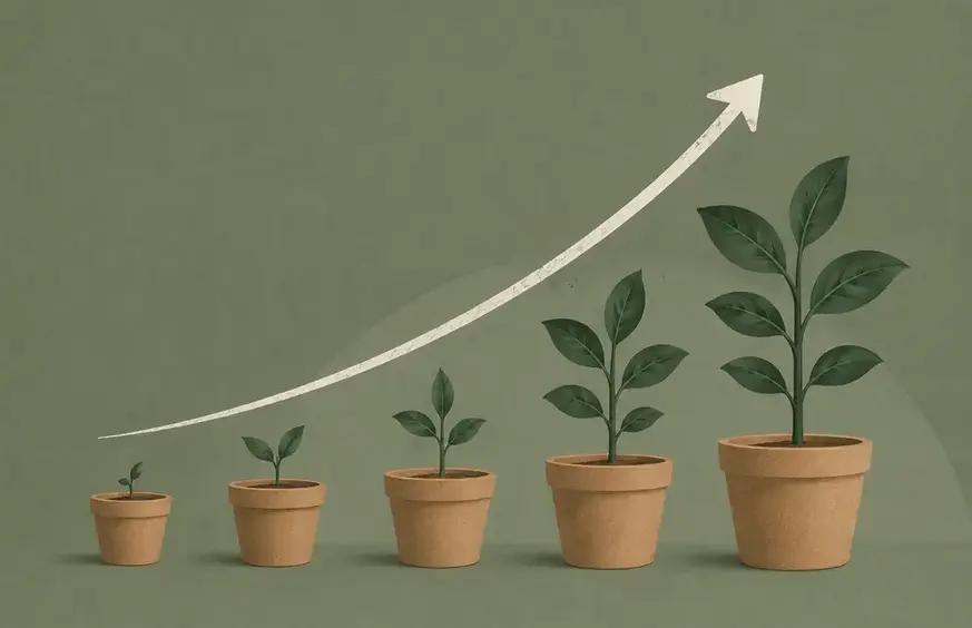 Minimal illustration of potted plants growing in size beneath an upward arrow on a sage green background, symbolizing steady business growth driven by long-term momentum rather than increased marketing.