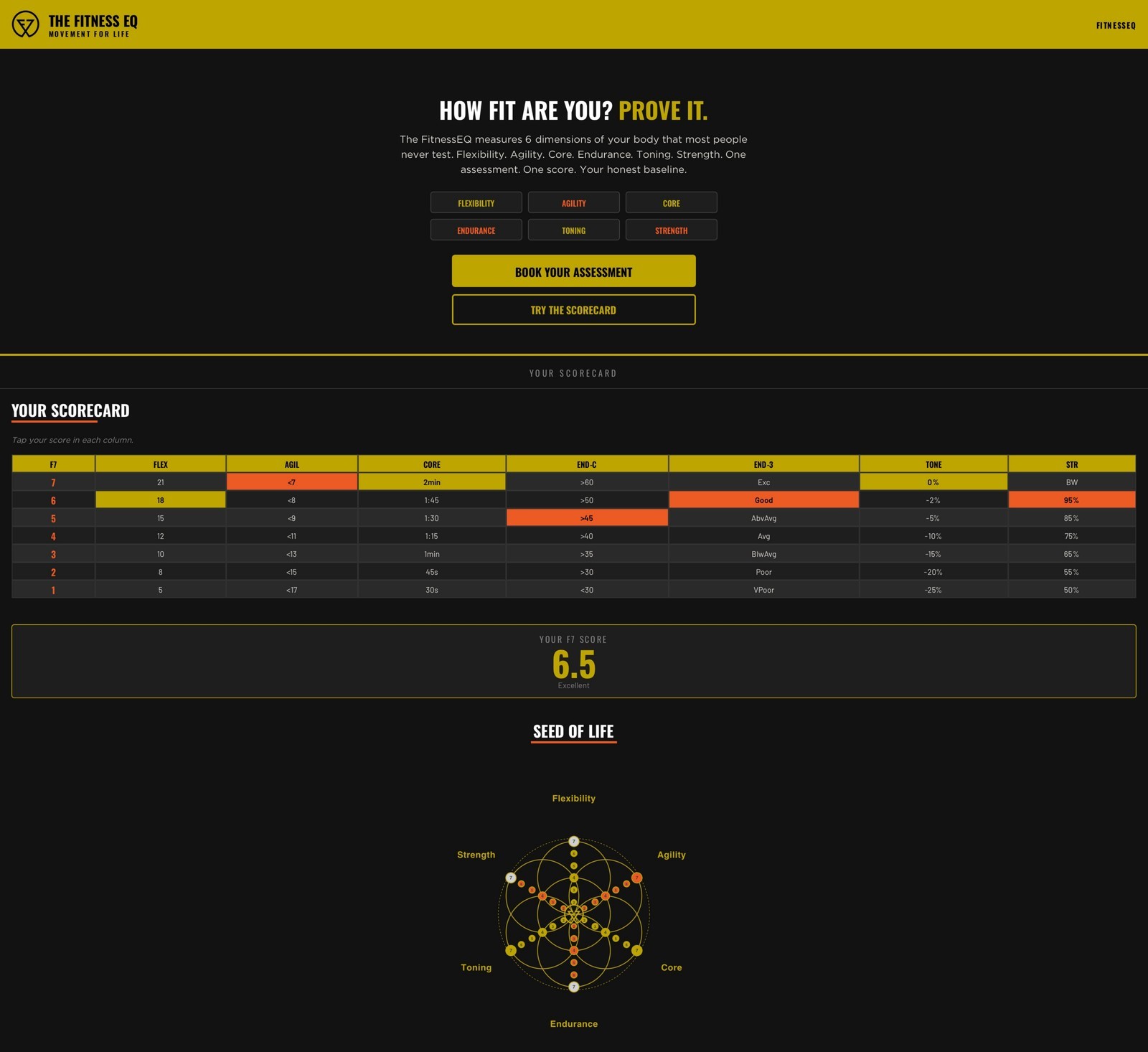 Facet Seven FitnessEQ scorecard, July 3 baseline, score 6.5