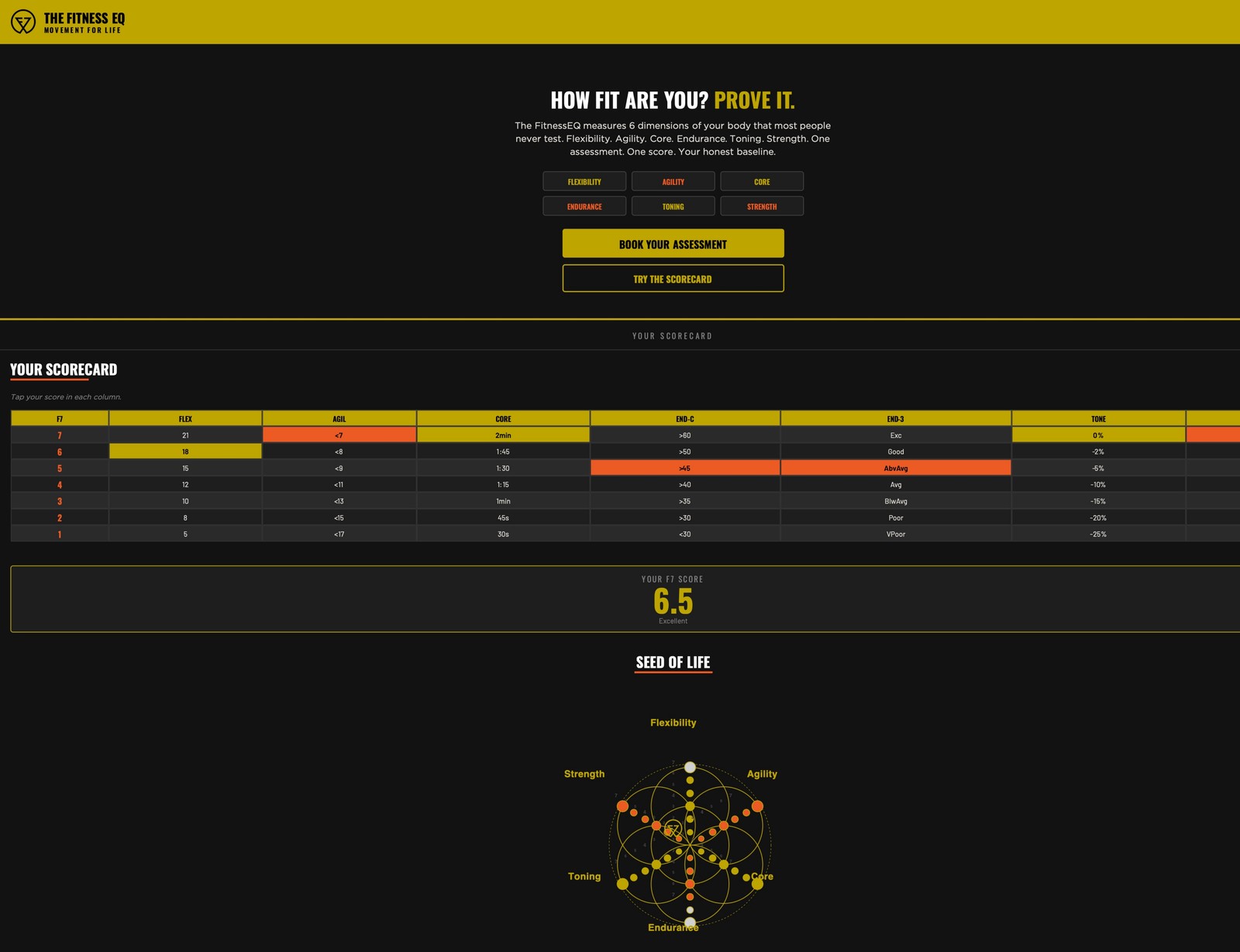Facet Seven FitnessEQ scorecard, August re-score, score 6.5 held