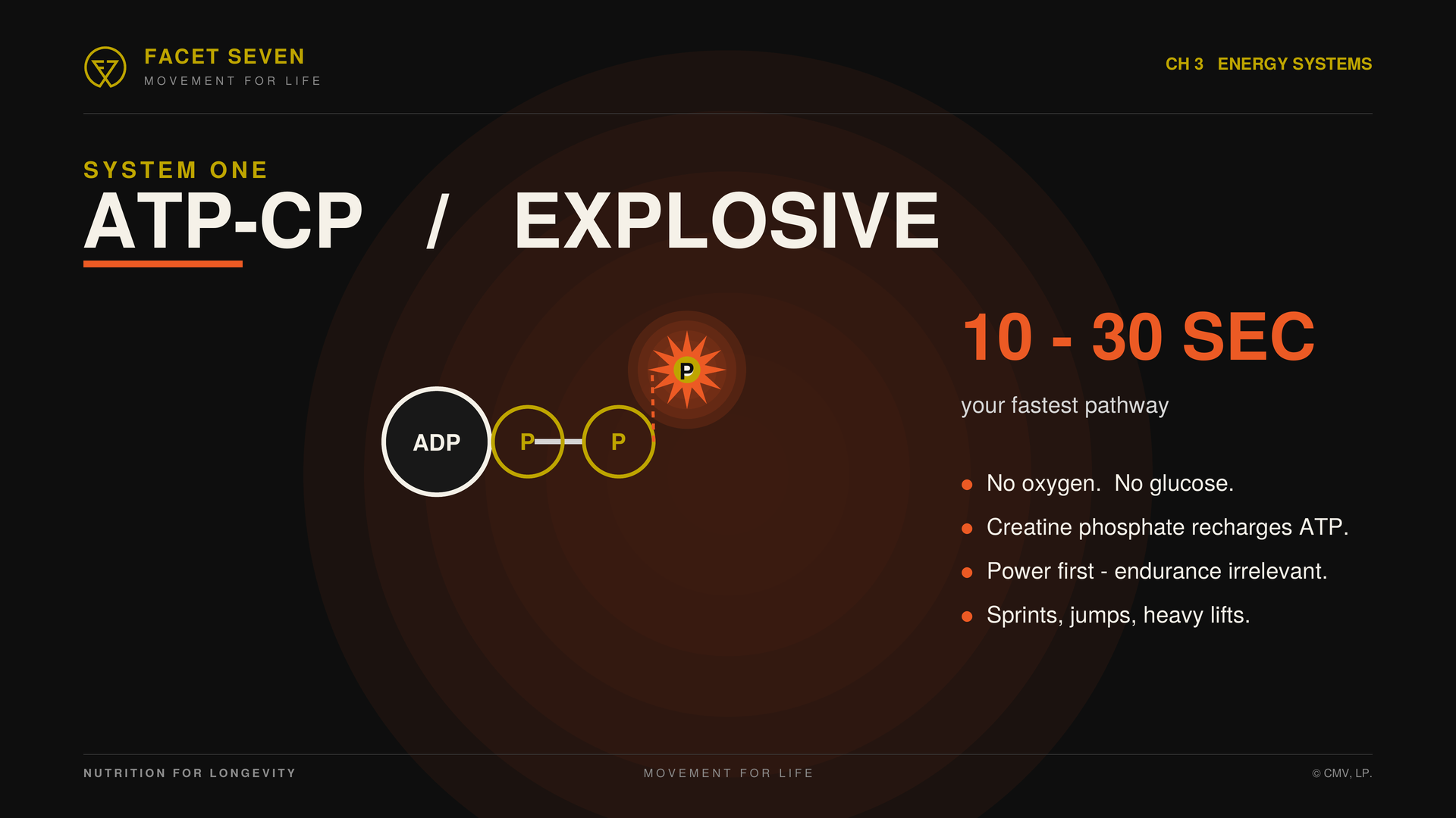 ATP-CP energy system explained