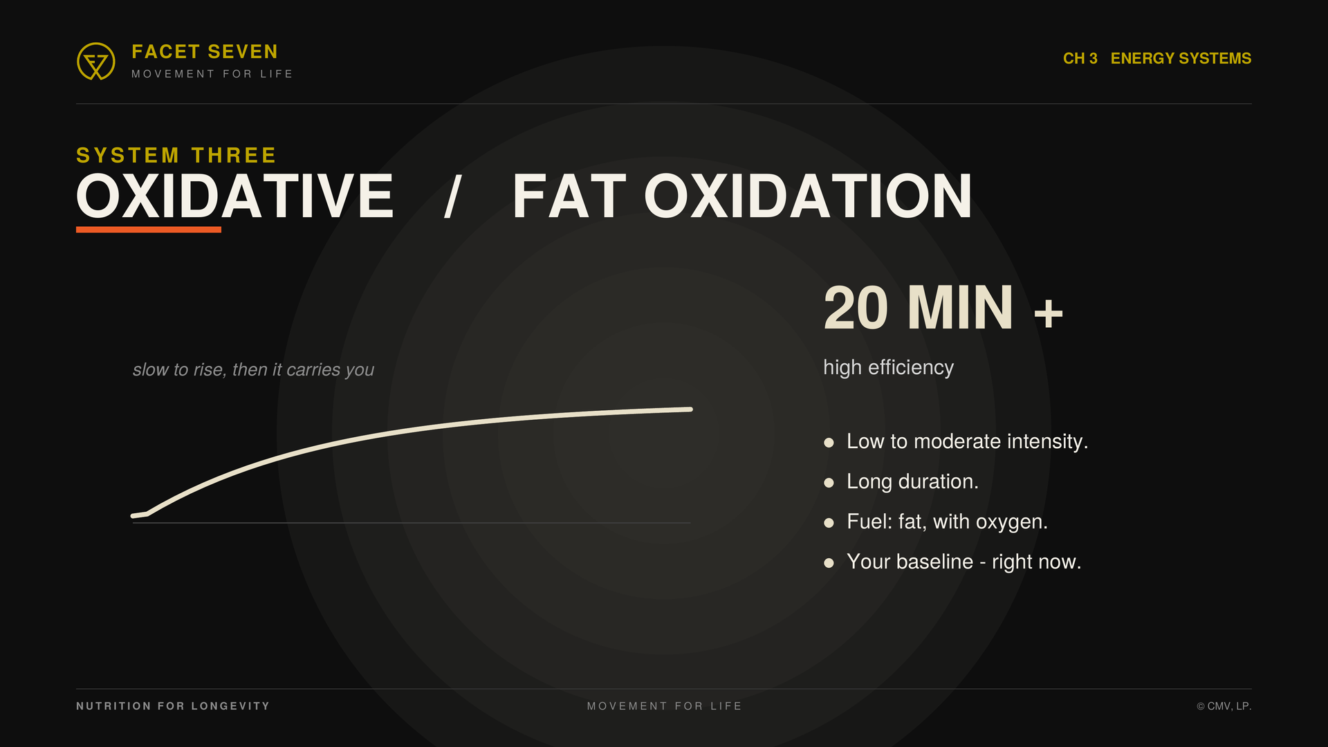 Oxidative energy system explained