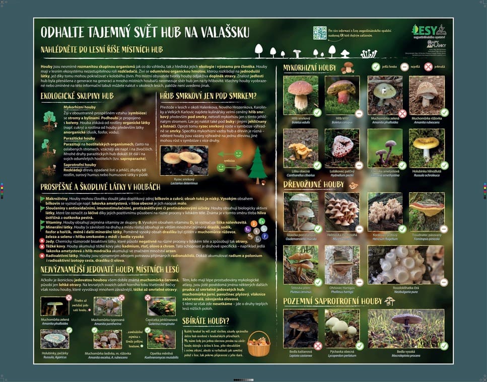 Ilustrovaný informační panel o houbách na Valašsku, kombinující mapové prvky, schematické kresby lesa, fotografie hub a vzdělávací grafiku o ekologických skupinách hub a jejich rozšíření.