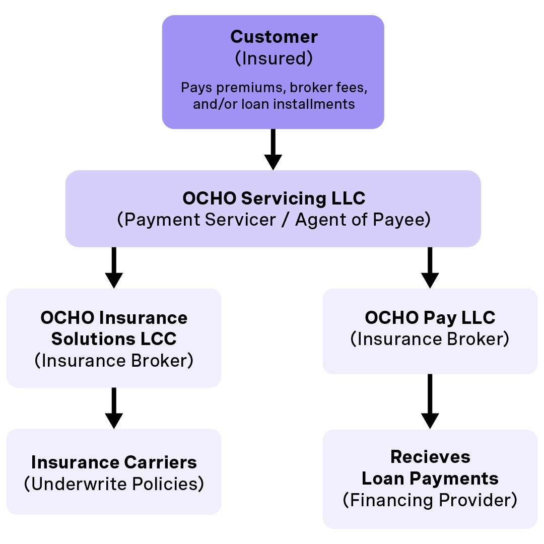 Ocho structure diagram
