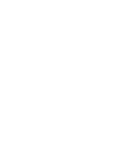 Elite Fitness geometric logo option