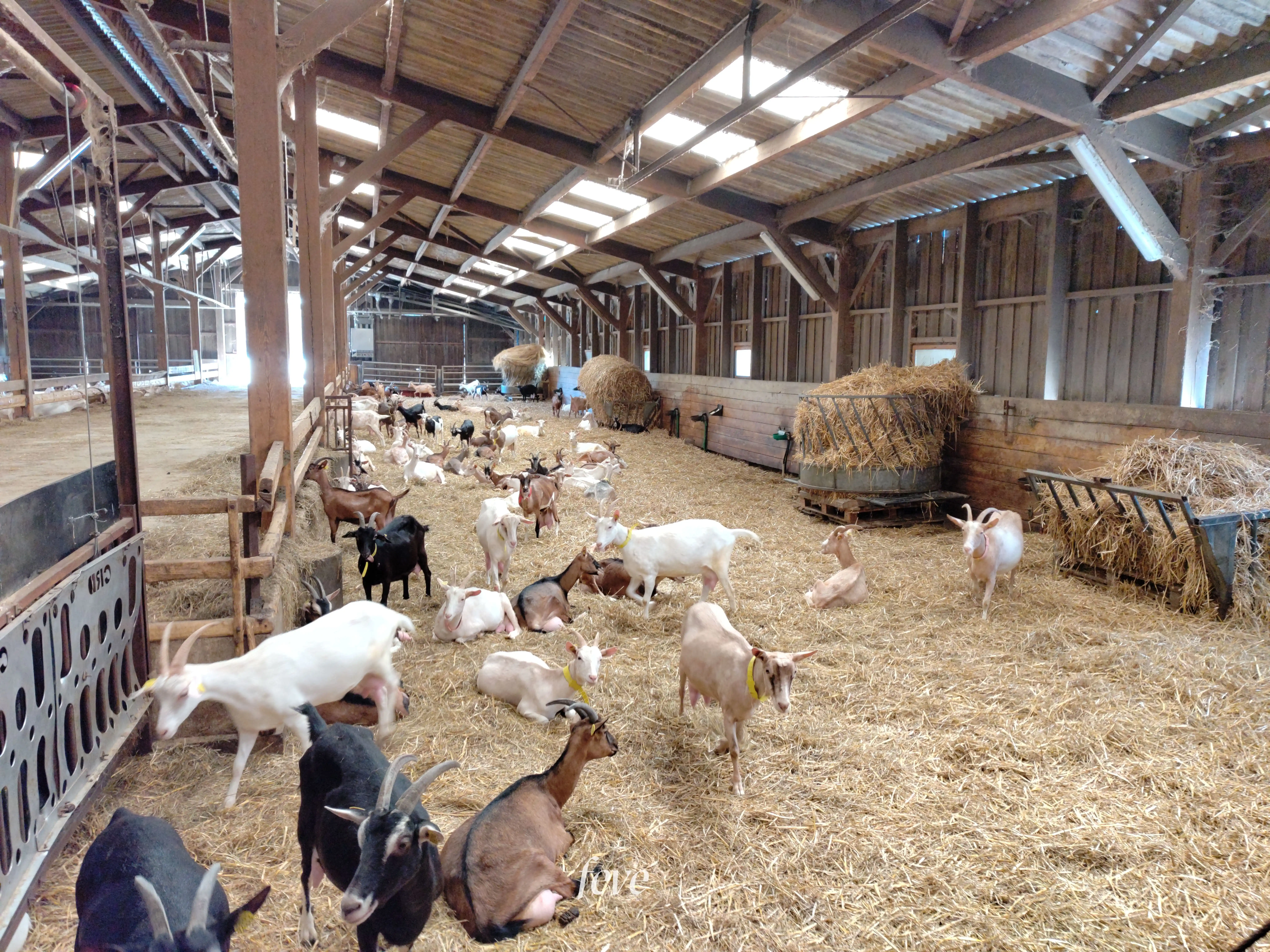 Ferme La ferme des chèvres