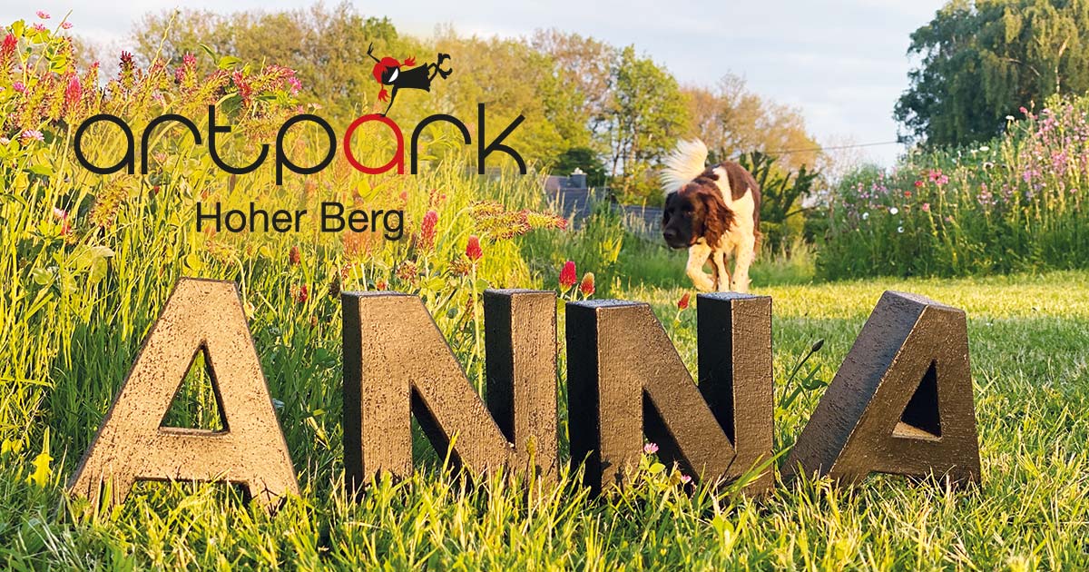 artpark website preview