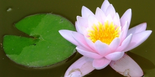 zagreb botanical gardens