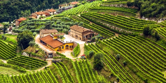 Valpolicella wine day trip from verona