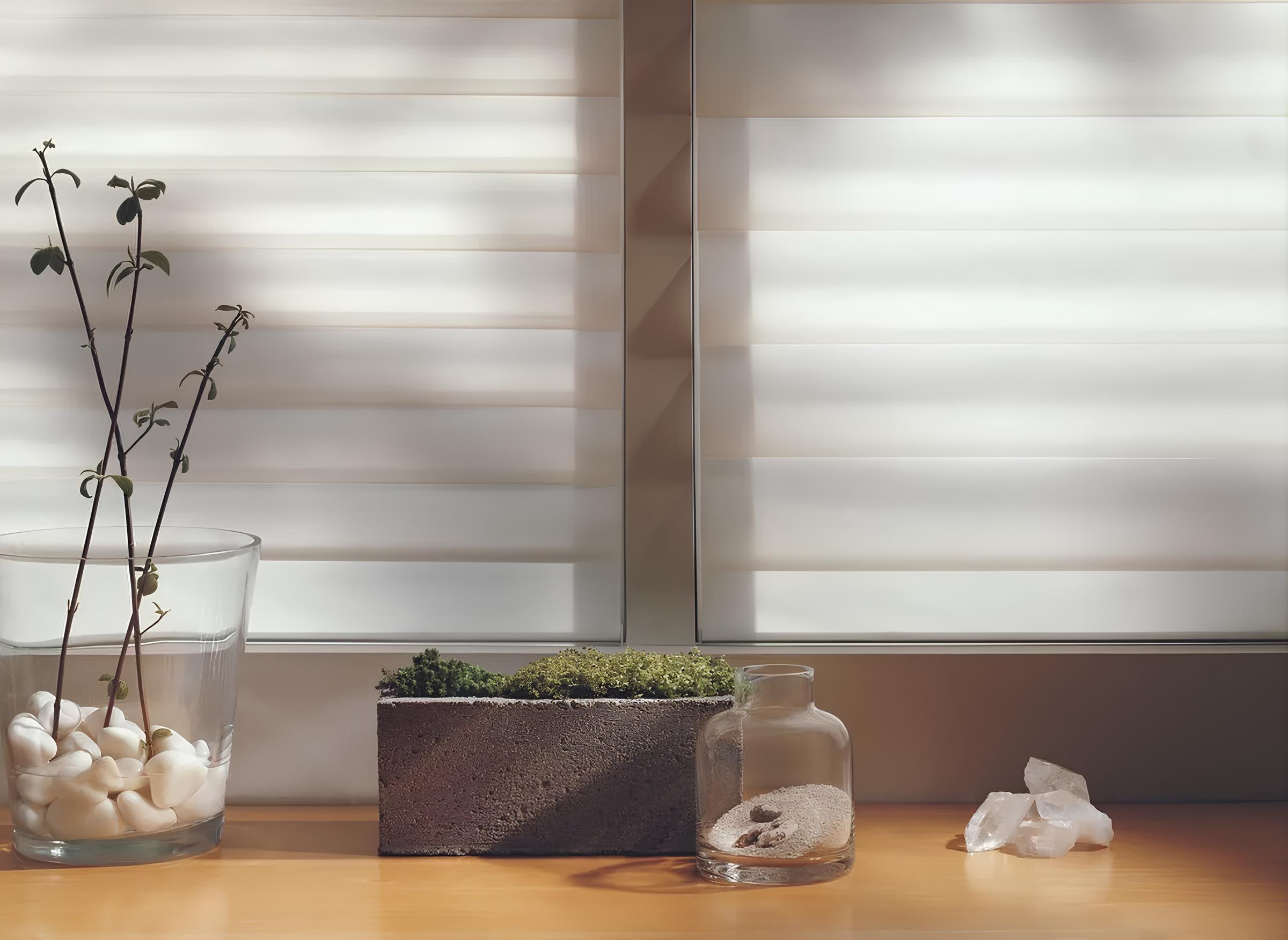 Sunlit window with blinds, plant, and decor.