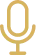Gold microphone icon