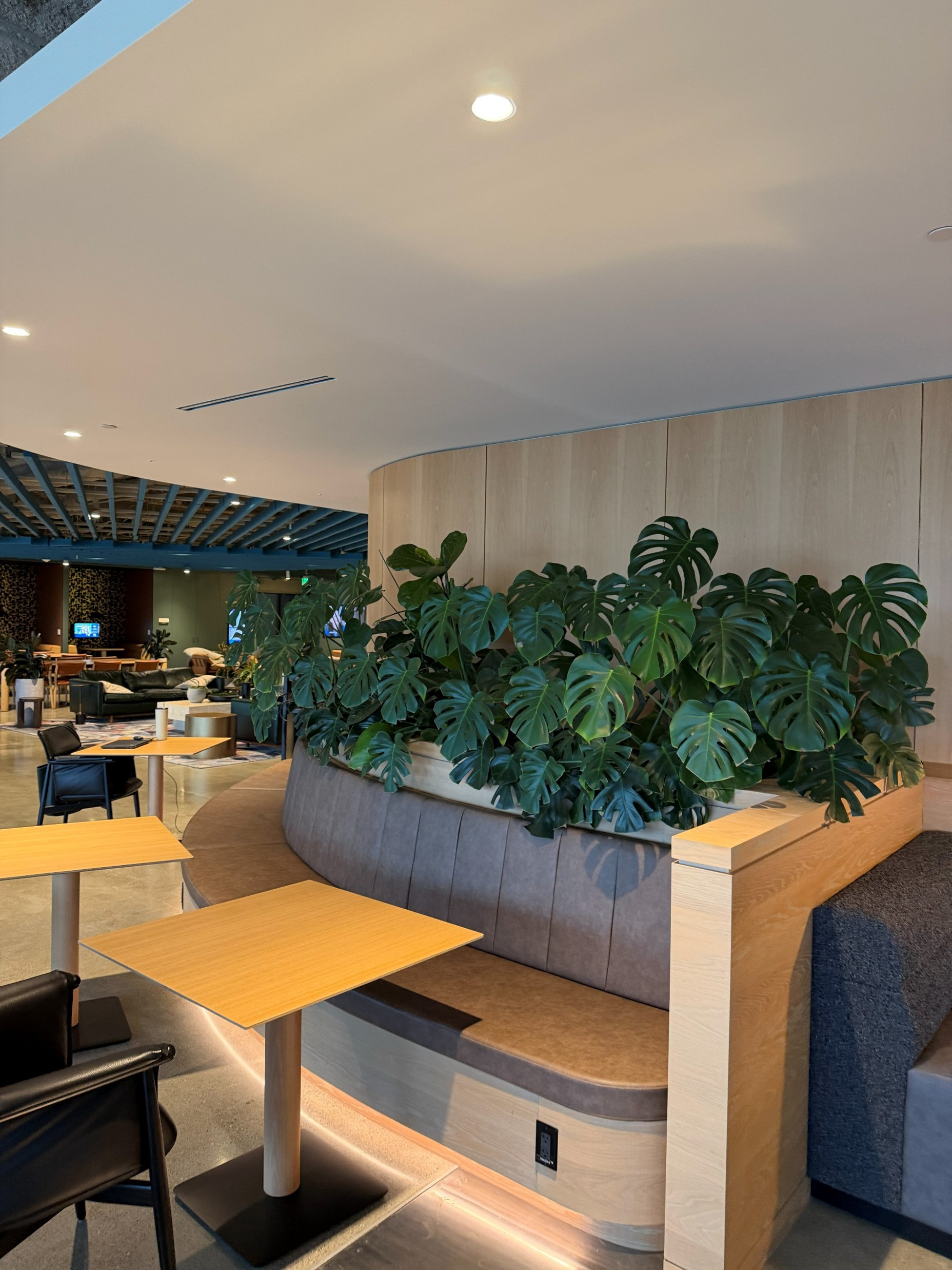 Curved seating area with gray cushions surrounding a planter filled with snake plants and green leafy plants in a modern indoor space.