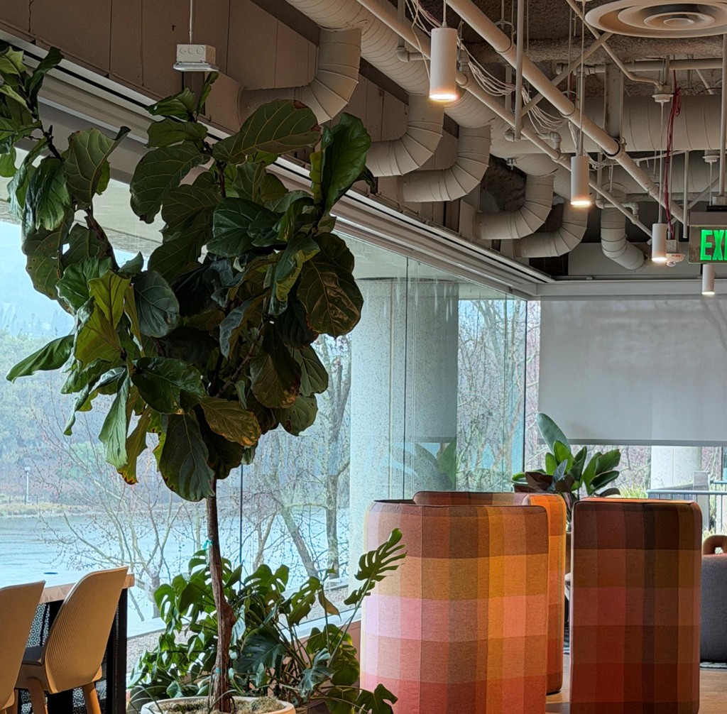 Indoor garden bed with various green tropical plants in a modern office lobby with large glass windows.