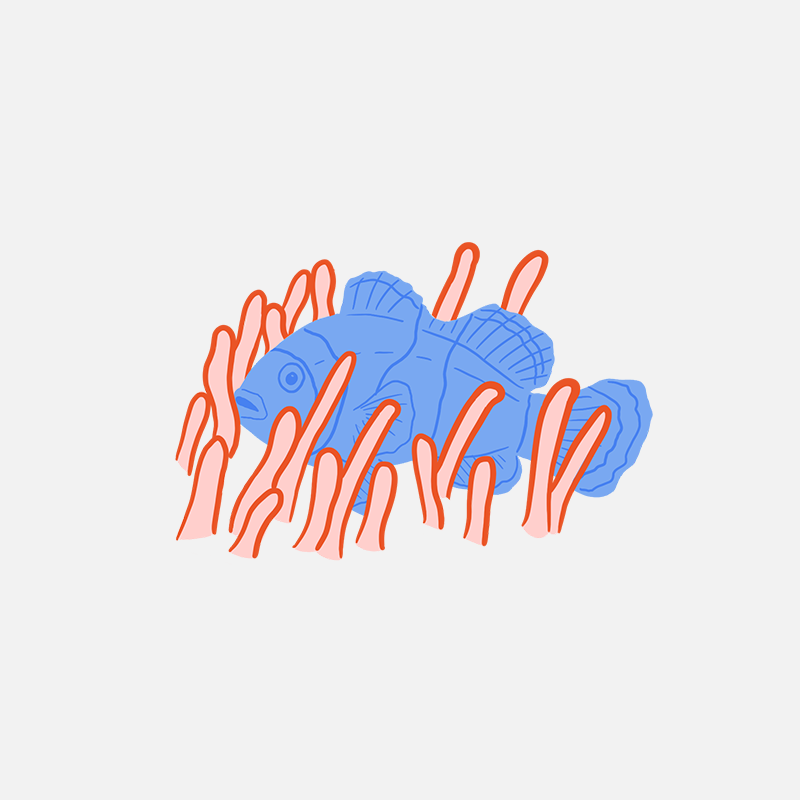 Elaboration de l'identité visuelle de Lara Hernández Rodríguez : charte graphique, éléments graphiques, illustrations, etc.