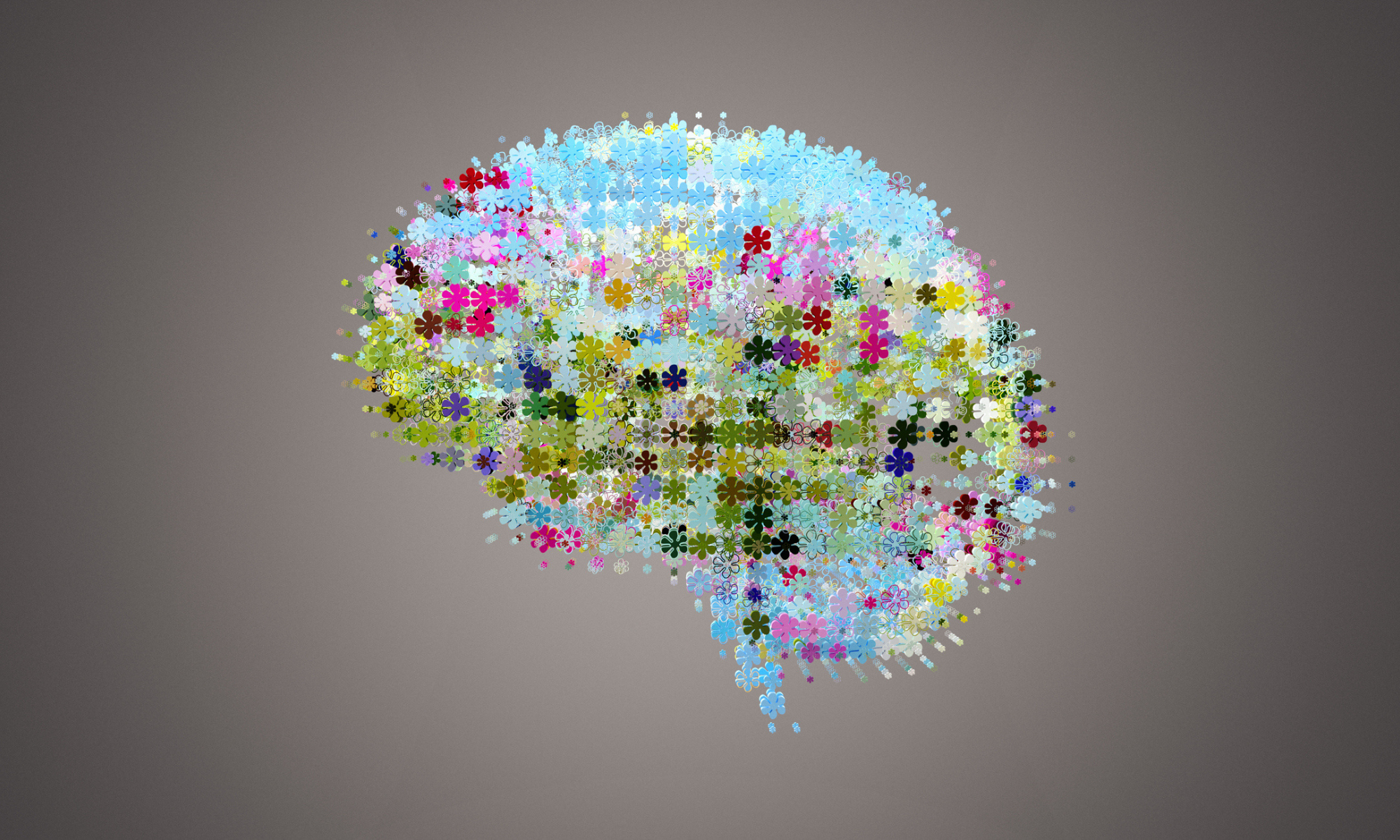 Post ADHD Diagnosis - What Now?