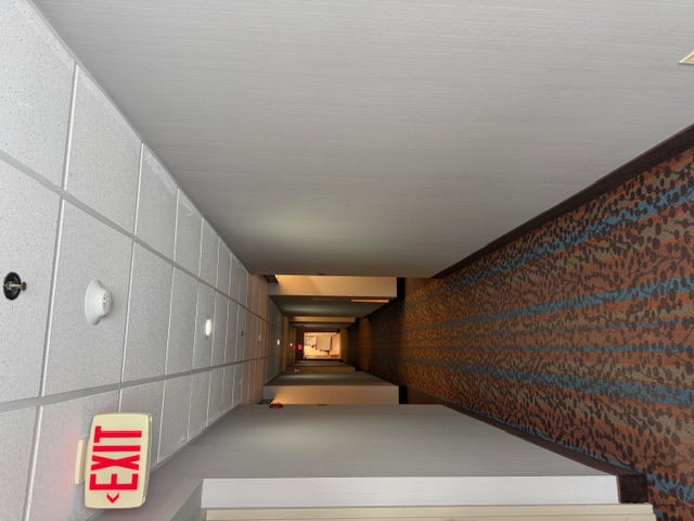 Updated hotel hallway at Sleep Inn with new vinyl wallcovering installed, creating a clean and modern look