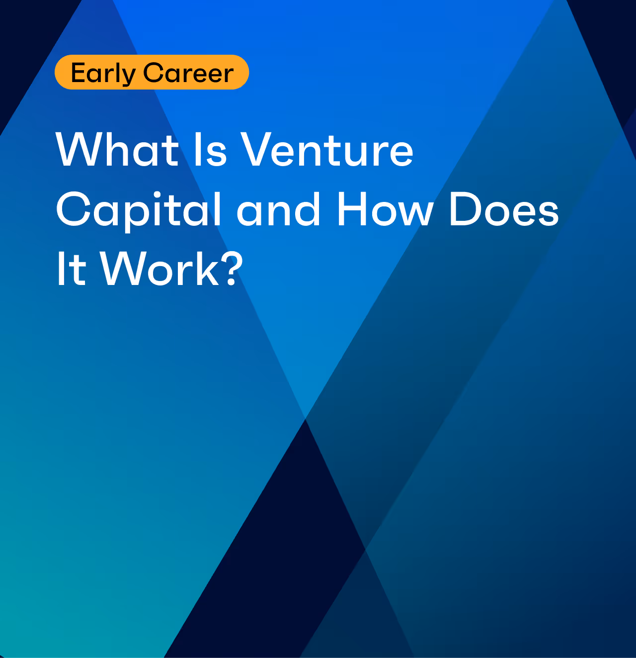 What Is Venture Capital and How Does It Work?