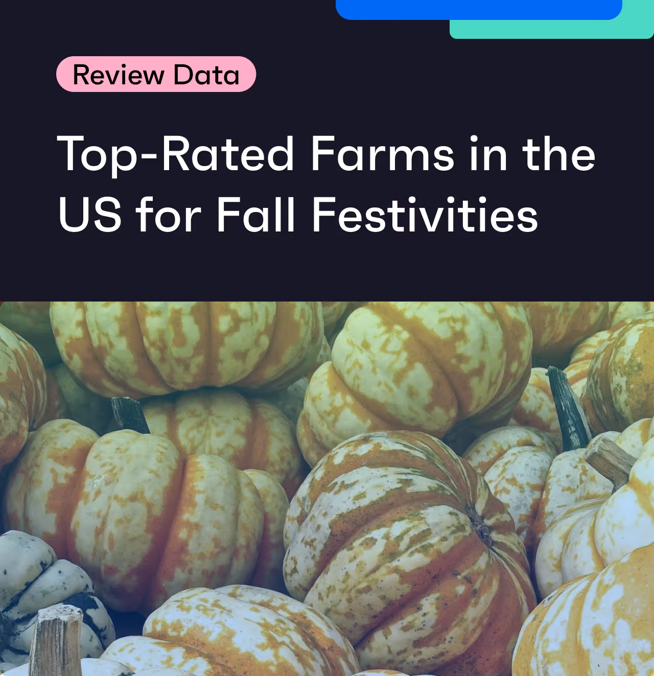 Review Data Insights: The Top 10 US Farms for Fall Adventures
