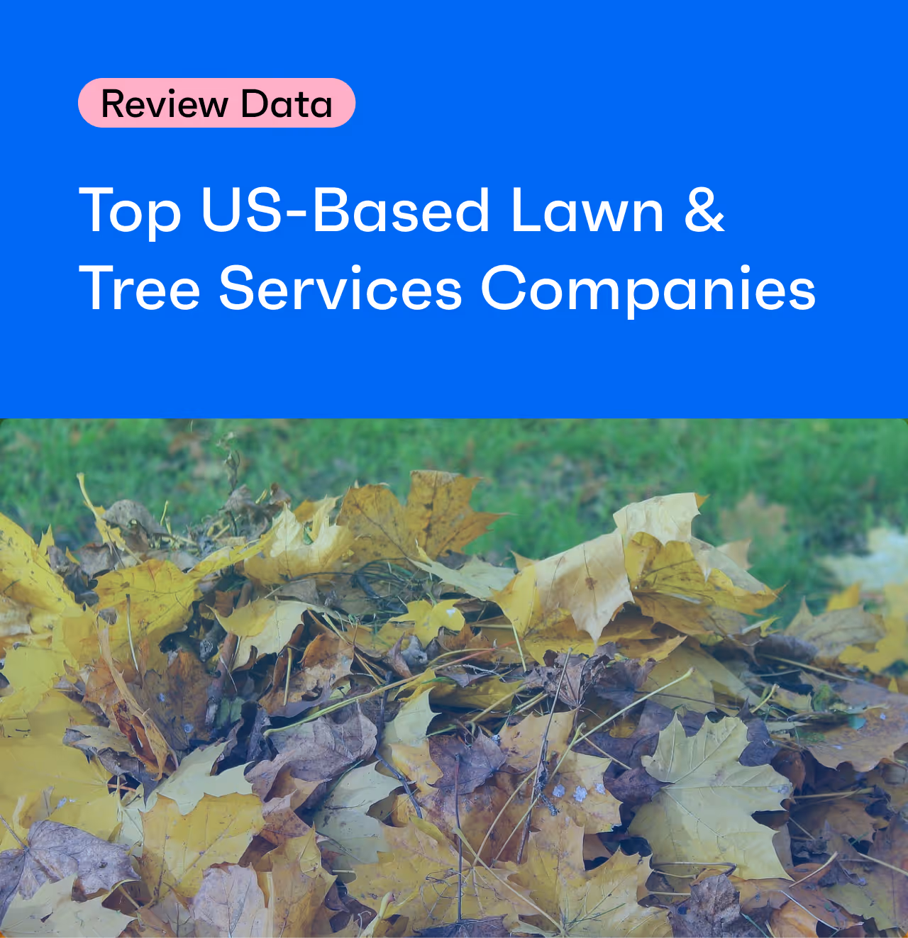 Review Data Insights: The Top 10 Lawn and Tree Services Companies in the US