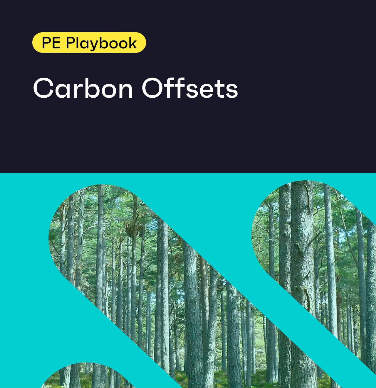 The PE Playbook: Carbon Offsets