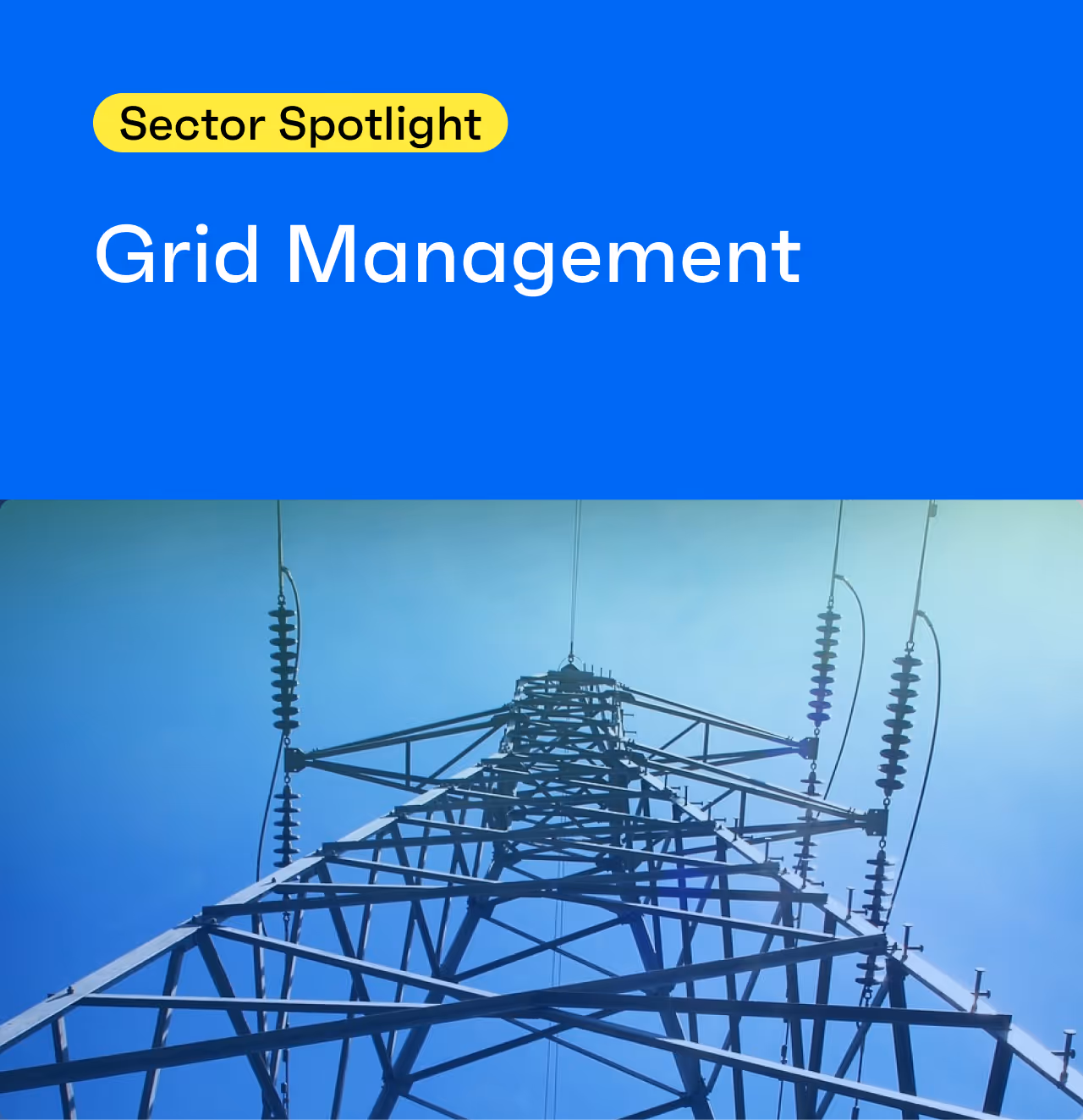 Sector Spotlight: Grid Management