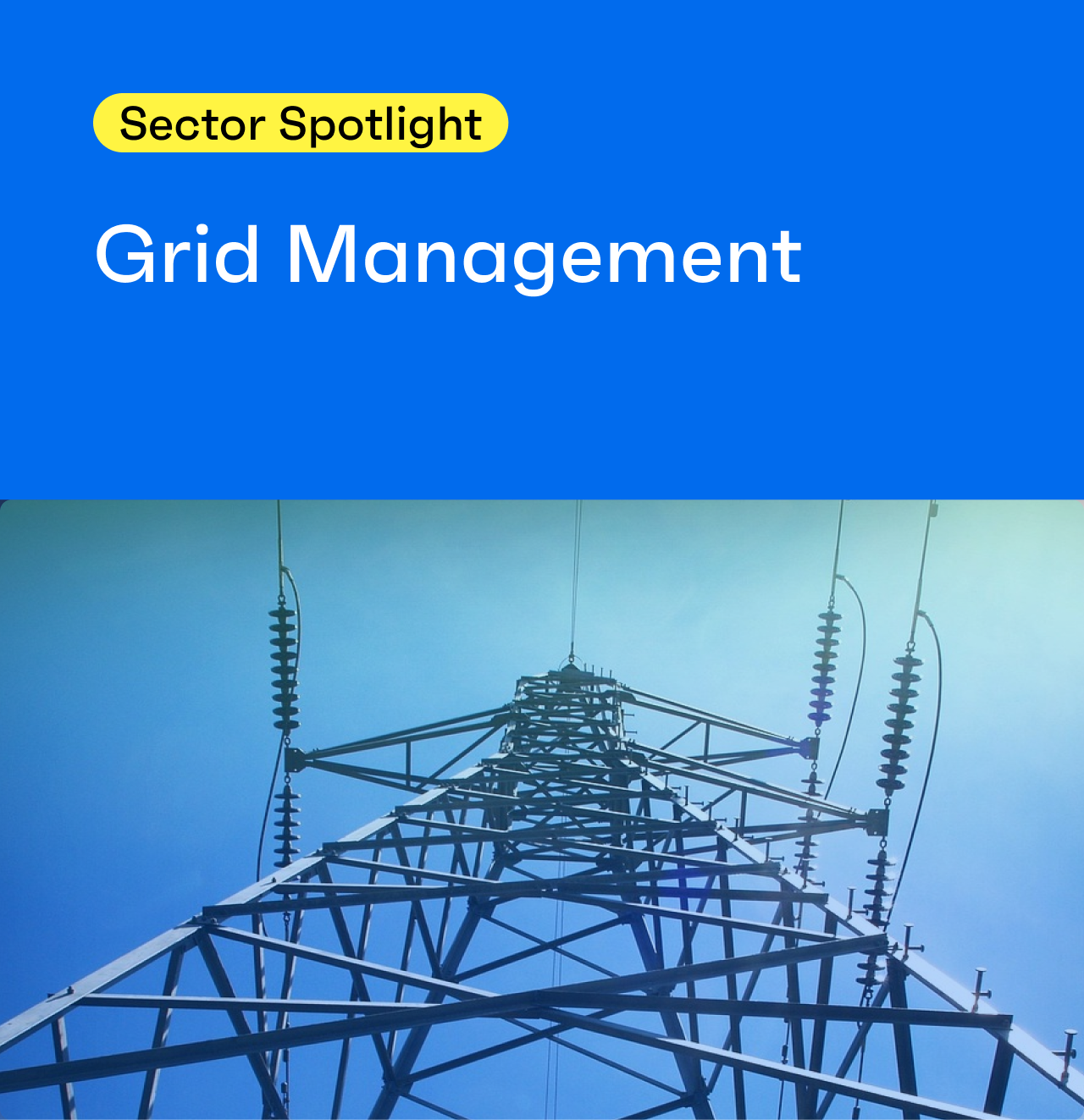 Sector Spotlight: Grid Management