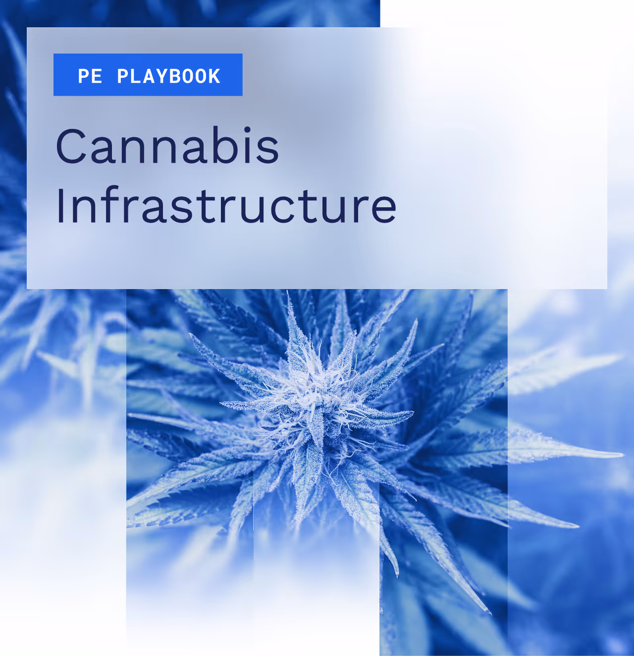 The PE Playbook: Cannabis Infrastructure