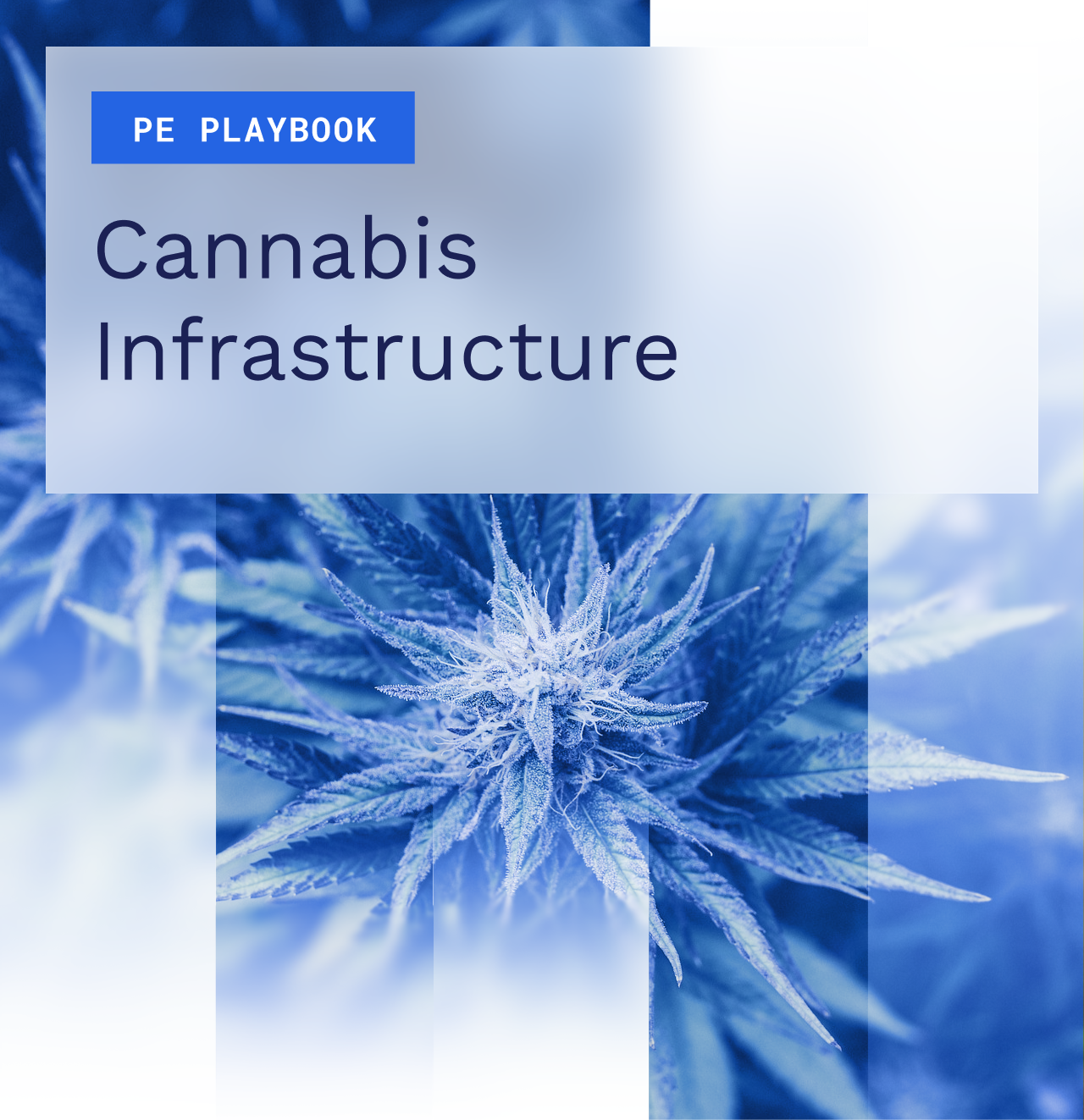 The PE Playbook: Cannabis Infrastructure