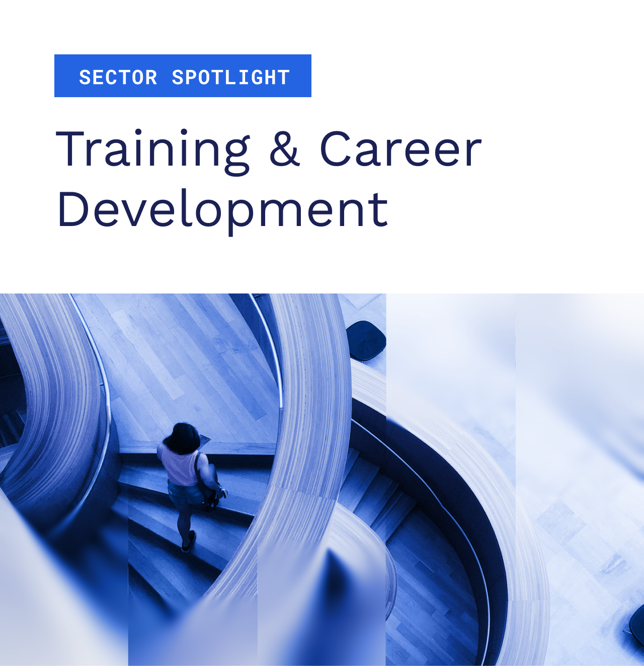 Sector Spotlight: Employee Training & Career Development 