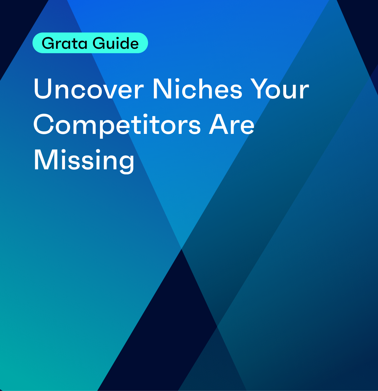 Uncover Niches Your Competitors Are Missing  