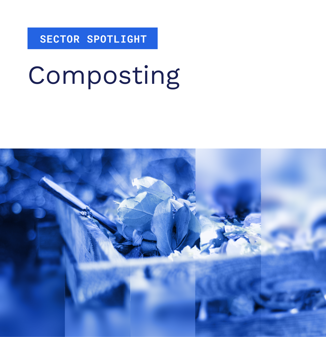 Sector Spotlight: Composting