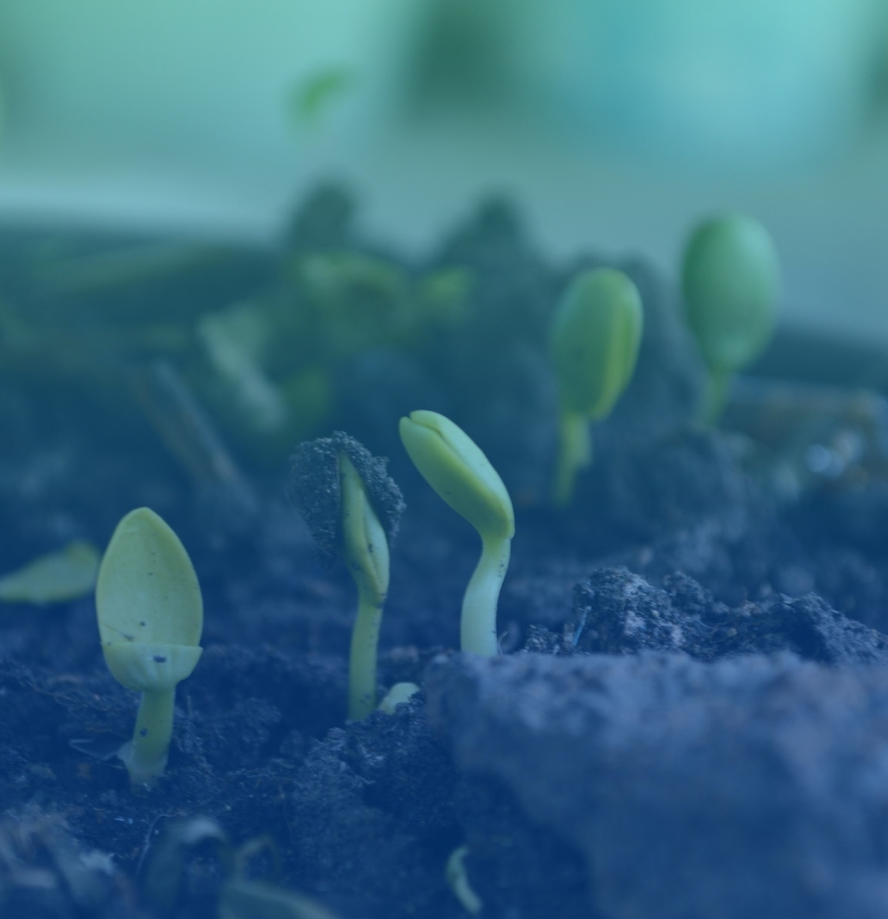 Grata team members assembling Pride care packages