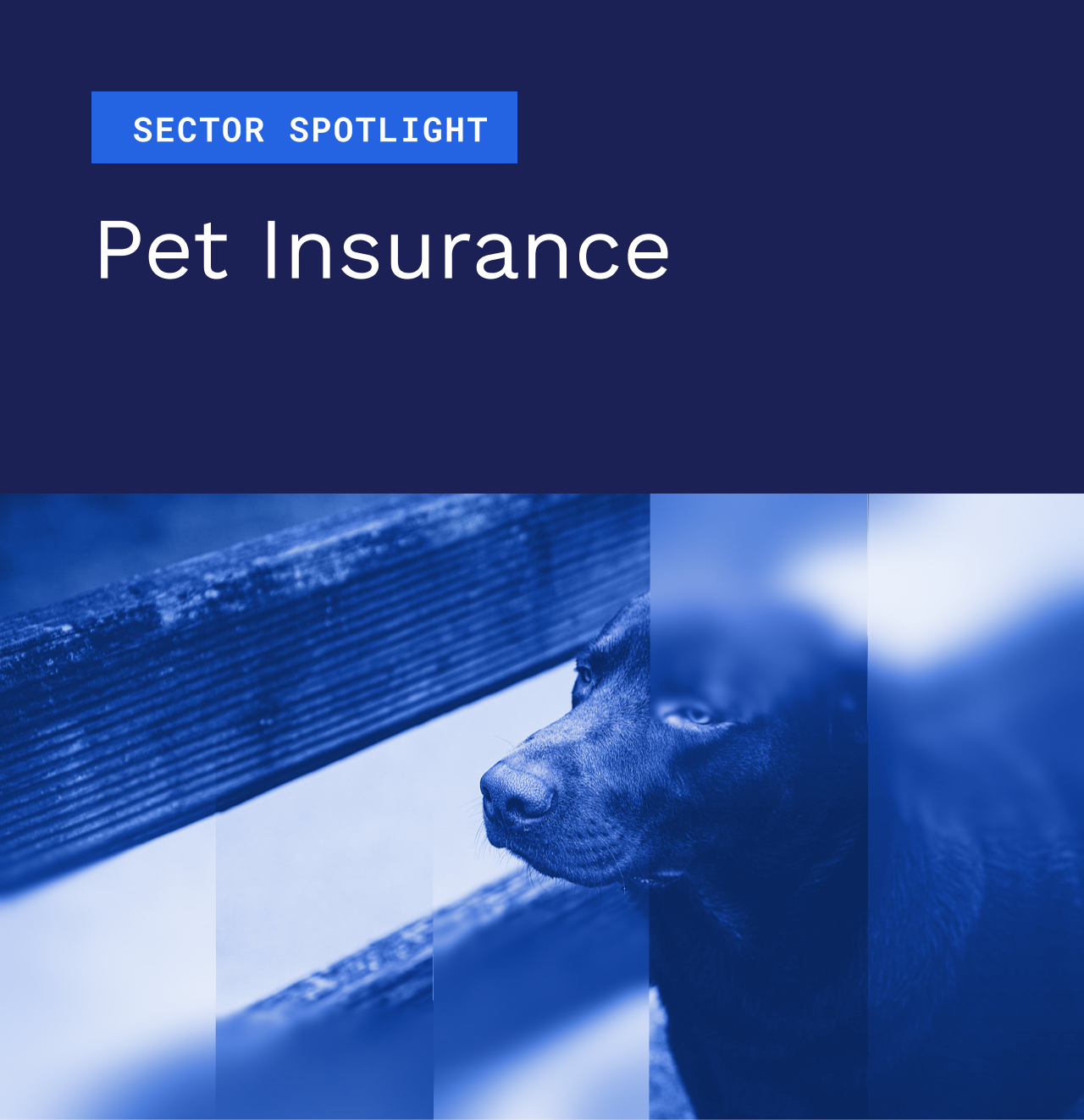 Sector Spotlight: Pet Insurance