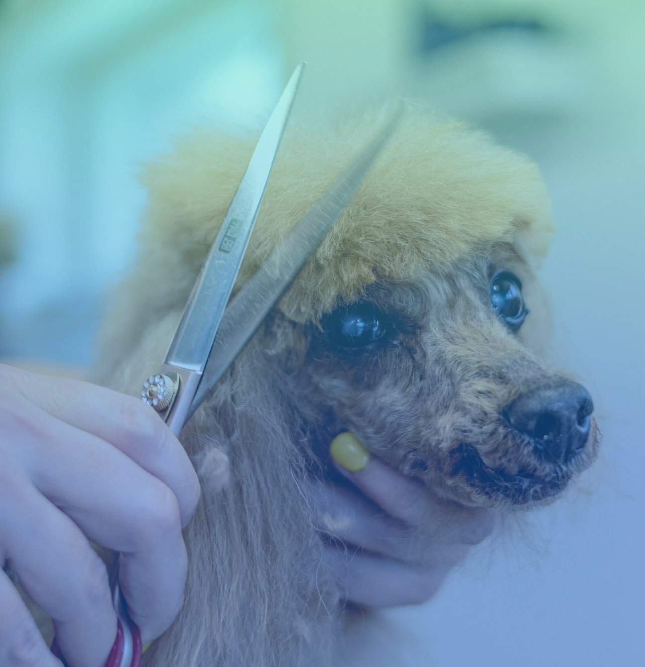 Grata team members assembling Pride care packages