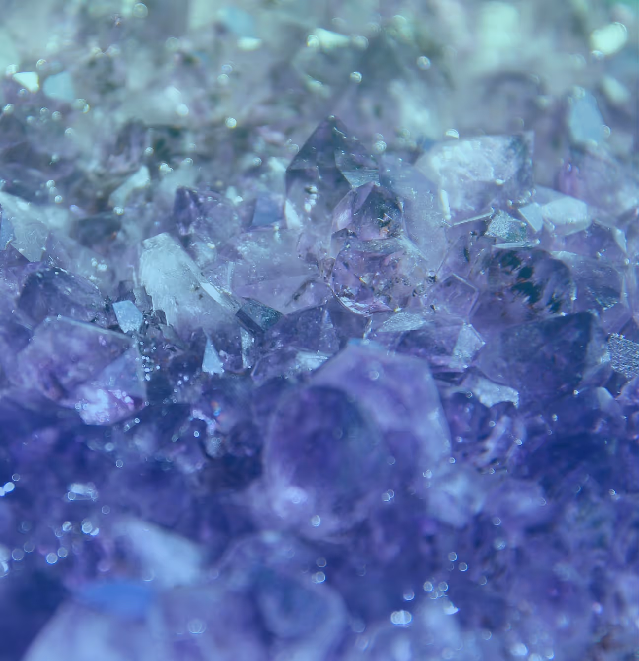 The Hidden Gems Report: Finding Low-Profile Companies in High-Momentum Industries 