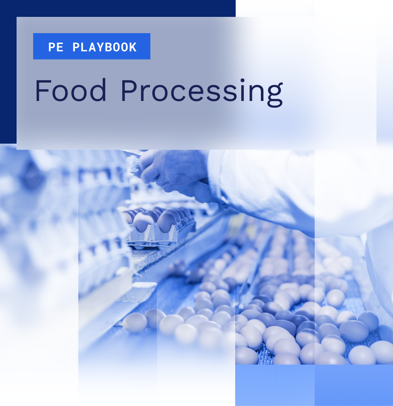 The PE Playbook: Food Processing 
