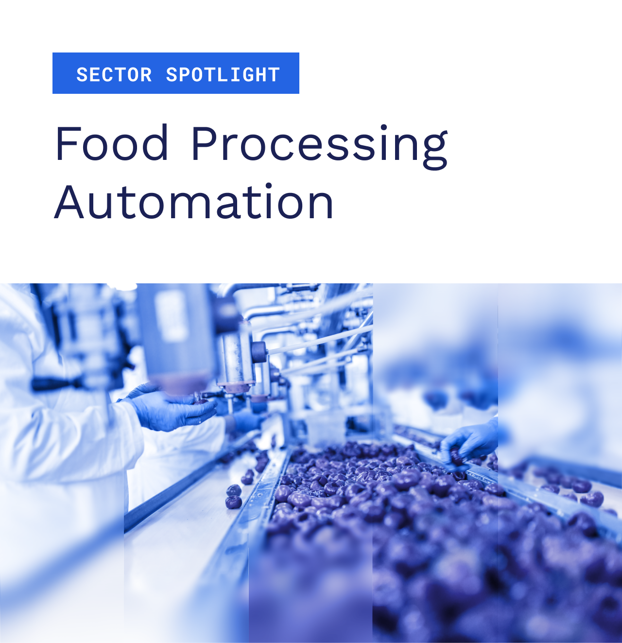 Sector Spotlight: Food Processing Automation