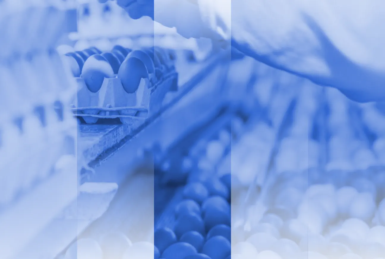 The PE Playbook: Food Processing 
