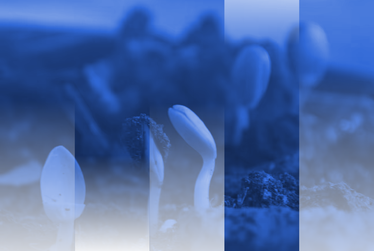 Sector Spotlight: Composting