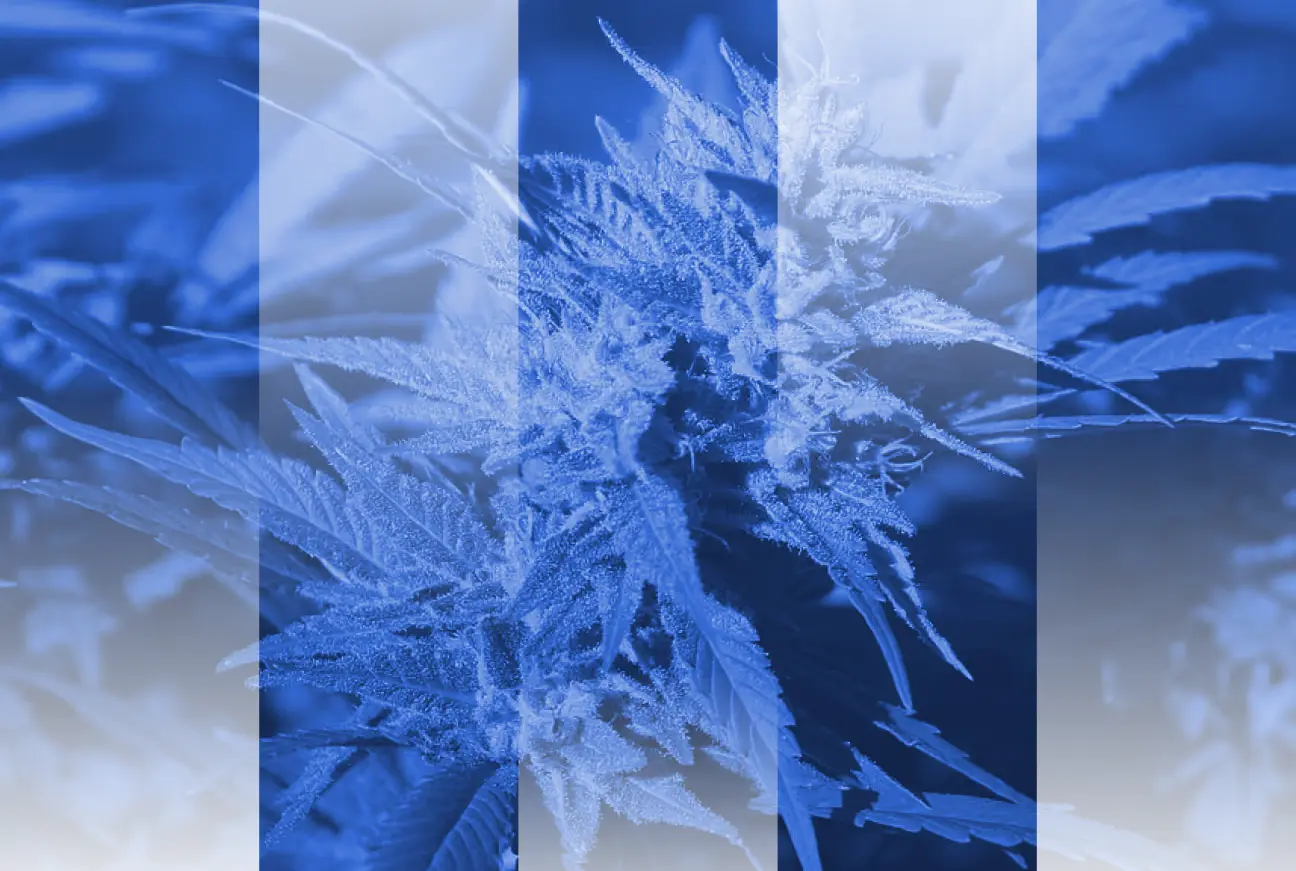 The PE Playbook: Cannabis Infrastructure
