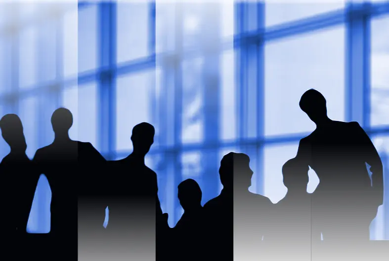 Diversity in Private Equity: Insights from LPs