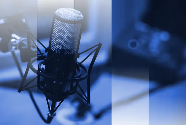Top 5 Podcasts for Private Market Investors