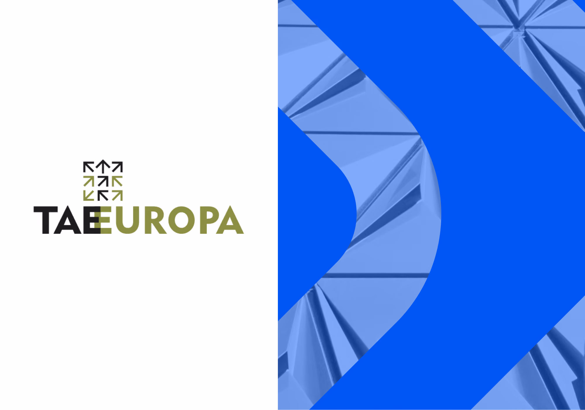 TAE Europa Cuts Prospecting Time by 75% and Verifies Contacts 15x Faster With Valu8 by Grata