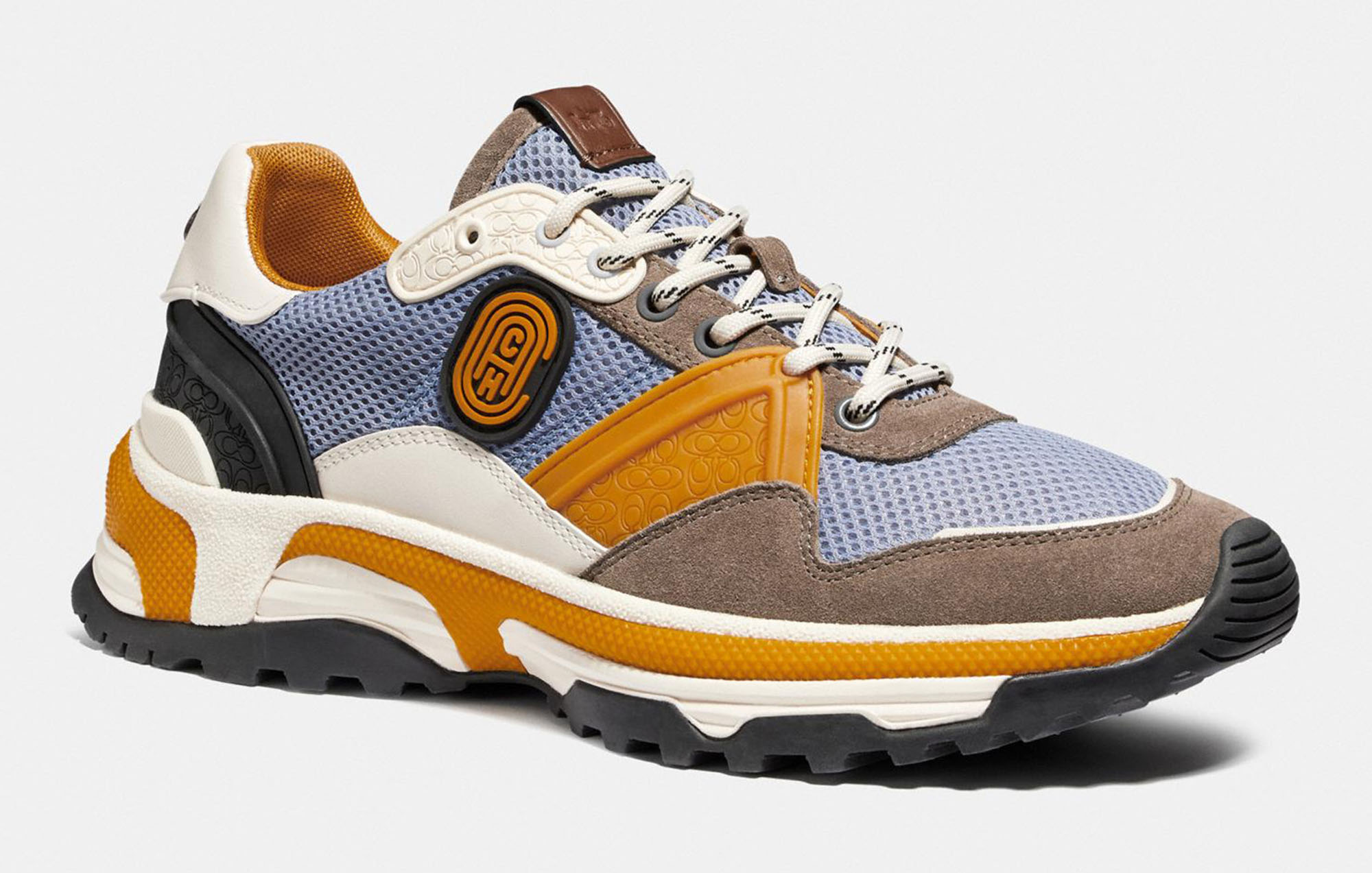 a photo of a low top sneaker with multiple colors and a coach logo