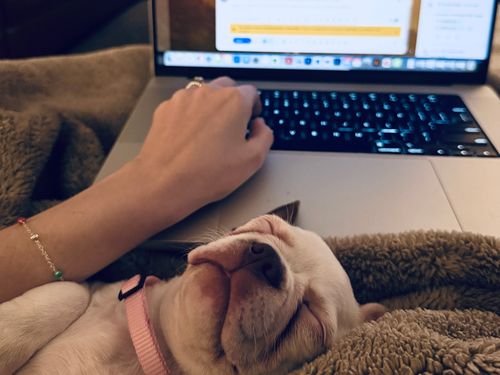 Frozen plasma, buffy coat, FFPE blocks and slides