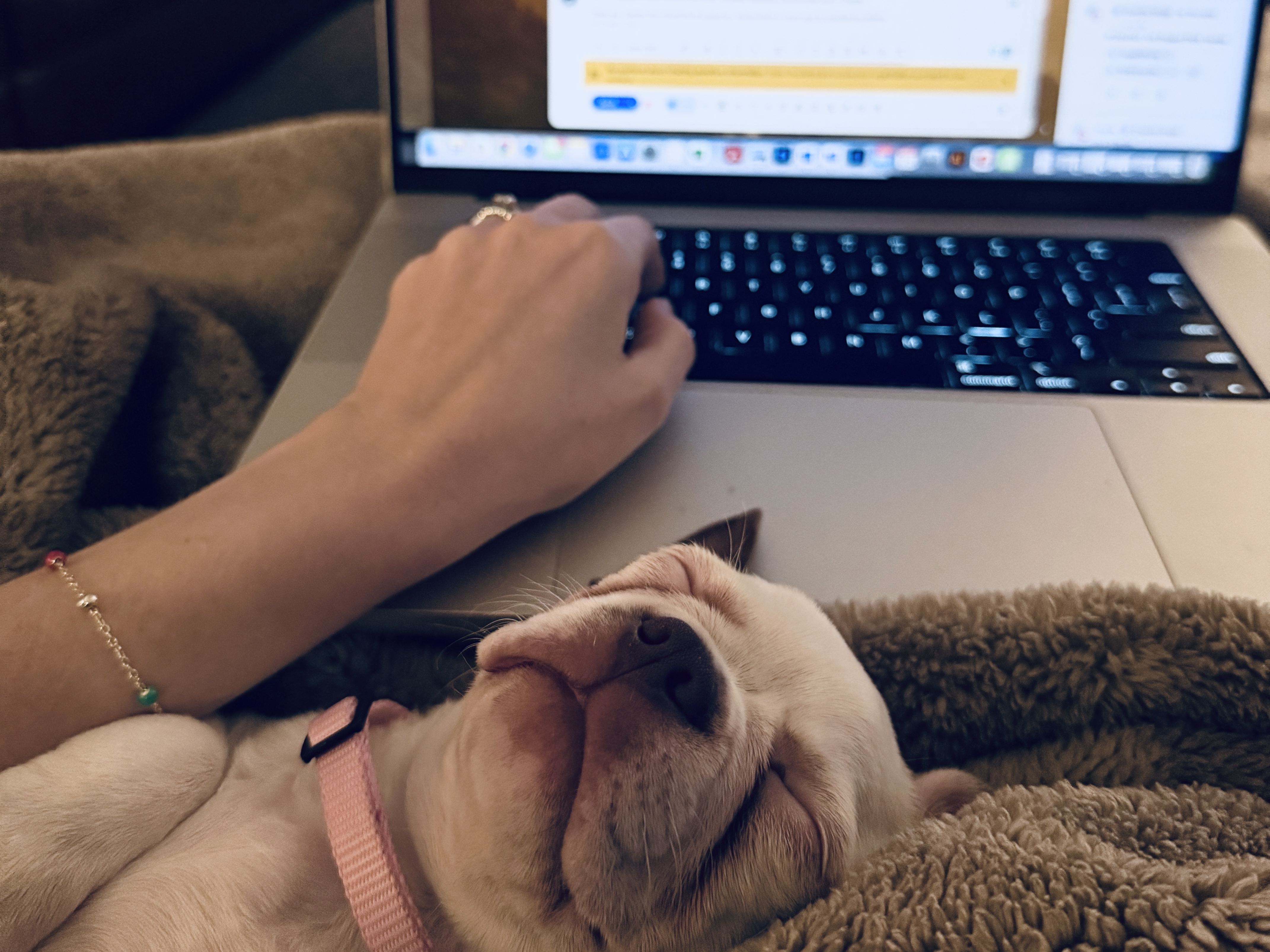 Frozen plasma, buffy coat, FFPE blocks and slides