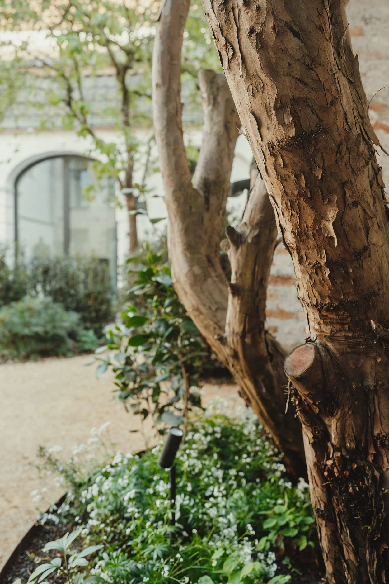 Sfeerbeeld in de tuin van Everelmus Brugge, waar het tuinontwerp werd voorzien door Linears landscapers.