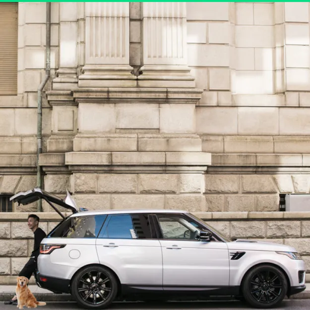 TOP 10 des voitures avec un grand coffre pour un chien